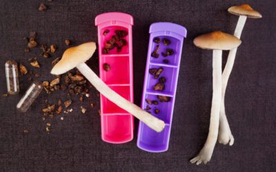 Psychoactive Mushrooms: A New Frontier in Dementia and Psychological Illness Treatment