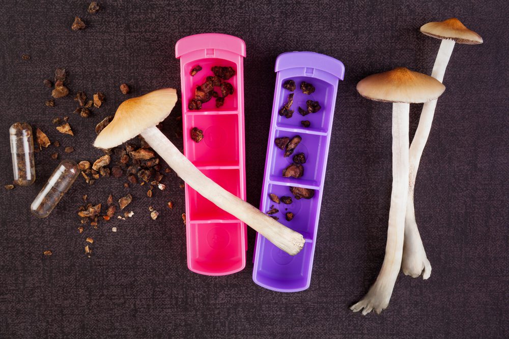 magic mushrooms to treat dementia and mental illness,