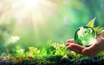 Chronic Care Management and Holistic Therapies